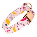 Nyári gyümölcsök - Kutya Nyakörv - april & june