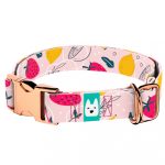 Nyári gyümölcsök - Kutya Nyakörv - april & june