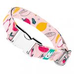 Nyári gyümölcsök - Kutya Nyakörv - april & june