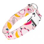 Nyári gyümölcsök - Kutya Nyakörv - april & june