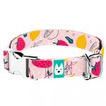 Nyári gyümölcsök - Kutya Nyakörv - april & june