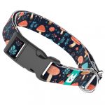 Gombás Erdő - Kutya Nyakörv - april & june