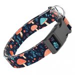 Gombás Erdő - Kutya Nyakörv - april & june