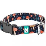 Gombás Erdő - Kutya Nyakörv - april & june