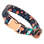 Gombás Erdő - Kutya Nyakörv - april & june