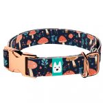 Gombás Erdő - Kutya Nyakörv - april & june