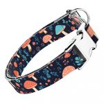 Gombás Erdő - Kutya Nyakörv - april & june