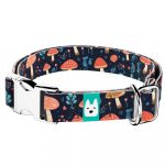 Gombás Erdő - Kutya Nyakörv - april & june