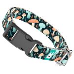 Elvarázsolt Gombák - Kutya Nyakörv - april & june