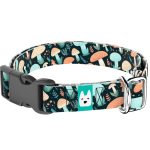 Elvarázsolt Gombák - Kutya Nyakörv - april & june