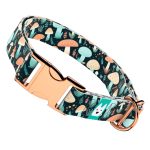 Elvarázsolt Gombák - Kutya Nyakörv - april & june