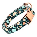 Elvarázsolt Gombák - Kutya Nyakörv - april & june