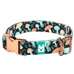 Elvarázsolt Gombák - Kutya Nyakörv - april & june