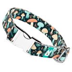 Elvarázsolt Gombák - Kutya Nyakörv - april & june