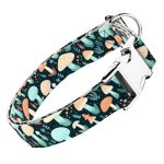 Elvarázsolt Gombák - Kutya Nyakörv - april & june