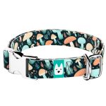 Elvarázsolt Gombák - Kutya Nyakörv - april & june