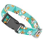 Pembroke Welsh Corgi, kék - Kutya Nyakörv - april & june