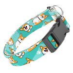 Pembroke Welsh Corgi, kék - Kutya Nyakörv - april & june