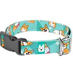 Pembroke Welsh Corgi, kék - Kutya Nyakörv - april & june