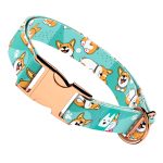 Pembroke Welsh Corgi, kék - Kutya Nyakörv - april & june