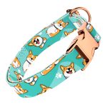 Pembroke Welsh Corgi, kék - Kutya Nyakörv - april & june