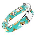 Pembroke Welsh Corgi, kék - Kutya Nyakörv - april & june