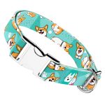 Pembroke Welsh Corgi, kék - Kutya Nyakörv - april & june