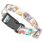 Pembroke Welsh Corgi - Kutya Nyakörv - april & june