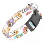 Pembroke Welsh Corgi - Kutya Nyakörv - april & june