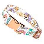 Pembroke Welsh Corgi - Kutya Nyakörv - april & june