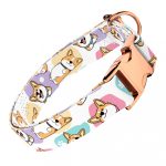 Pembroke Welsh Corgi - Kutya Nyakörv - april & june