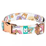 Pembroke Welsh Corgi - Kutya Nyakörv - april & june