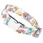 Pembroke Welsh Corgi - Kutya Nyakörv - april & june