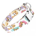 Pembroke Welsh Corgi - Kutya Nyakörv - april & june