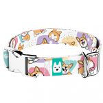 Pembroke Welsh Corgi - Kutya Nyakörv - april & june