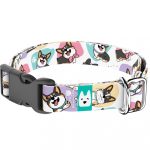 Pembroke Welsh Corgi, tricolor - Kutya Nyakörv - april & june