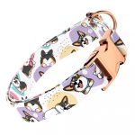 Pembroke Welsh Corgi, tricolor - Kutya Nyakörv - april & june