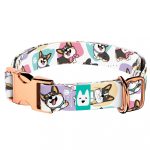 Pembroke Welsh Corgi, tricolor - Kutya Nyakörv - april & june