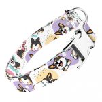 Pembroke Welsh Corgi, tricolor - Kutya Nyakörv - april & june