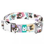 Pembroke Welsh Corgi, tricolor - Kutya Nyakörv - april & june