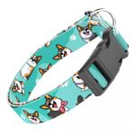 Pembroke Welsh Corgi, tricolor, kék  - Kutya Nyakörv - april & june