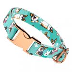 Pembroke Welsh Corgi, tricolor, kék  - Kutya Nyakörv - april & june