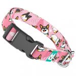 Pembroke Welsh Corgi, tricolor, rózsaszín - Kutya Nyakörv - april & june