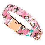 Pembroke Welsh Corgi, tricolor, rózsaszín - Kutya Nyakörv - april & june