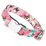 Pembroke Welsh Corgi, tricolor, rózsaszín - Kutya Nyakörv - april & june