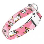 Pembroke Welsh Corgi, tricolor, rózsaszín - Kutya Nyakörv - april & june