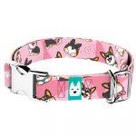 Pembroke Welsh Corgi, tricolor, rózsaszín - Kutya Nyakörv - april & june