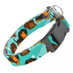 Tacskó, kék - Kutya Nyakörv - april & june