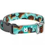 Tacskó, kék - Kutya Nyakörv - april & june