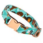 Tacskó, kék - Kutya Nyakörv - april & june